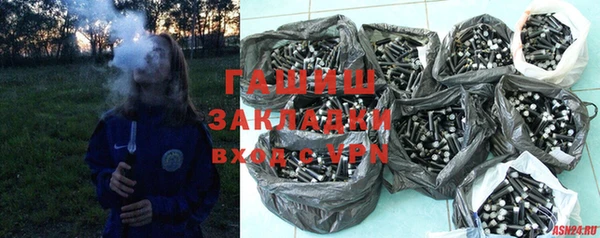 индика Алзамай