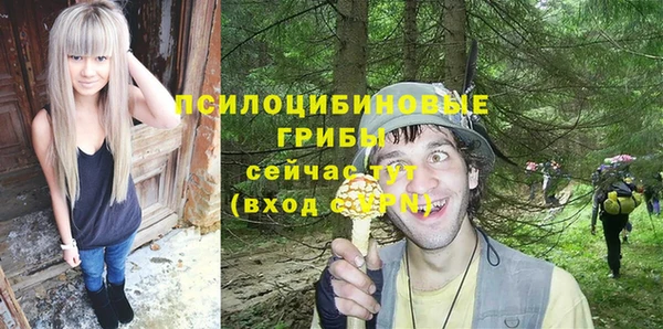ПСИЛОЦИБИНОВЫЕ ГРИБЫ Алексин