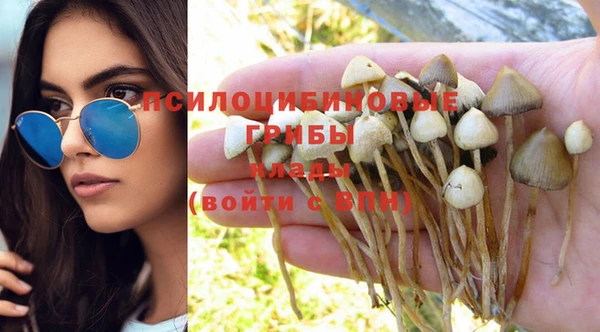 ПСИЛОЦИБИНОВЫЕ ГРИБЫ Алексин