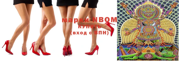 индика Алзамай