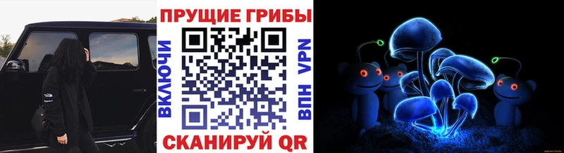 Псилоцибиновые грибы MAGIC MUSHROOMS  дарнет шоп  Нюрба 